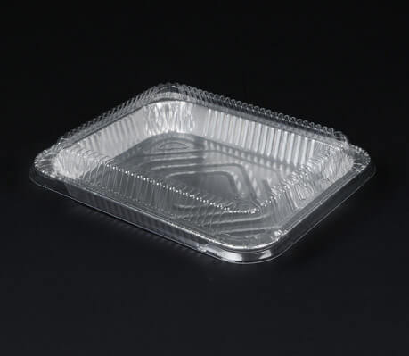 271208_P4300_100_FSC