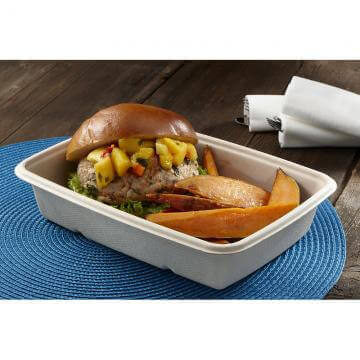 Terra-Pac-6x9-125521