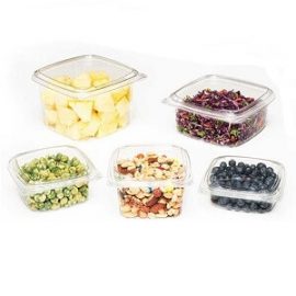 DISPOSABLE FOOD CONTAINERS / LIDS